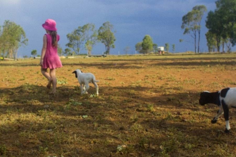 Life at home with the Helsham family outside Moranbah 2014