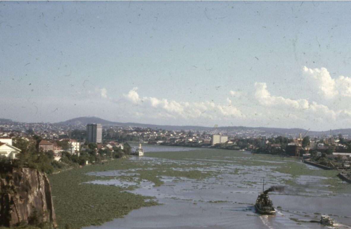 An eye-level shot captures a wide river dense with patches of water hyacinth under a cloudy, light-blue sky. In the foreground, a dark steamboat emitting black smoke from its stack navigates the water, with a smaller white boat nearby. On the left, a rocky cliff is topped with lush green trees and houses. Both banks of the river are lined with houses, trees, and occasional tall buildings, while a distant mountain is visible on the horizon.