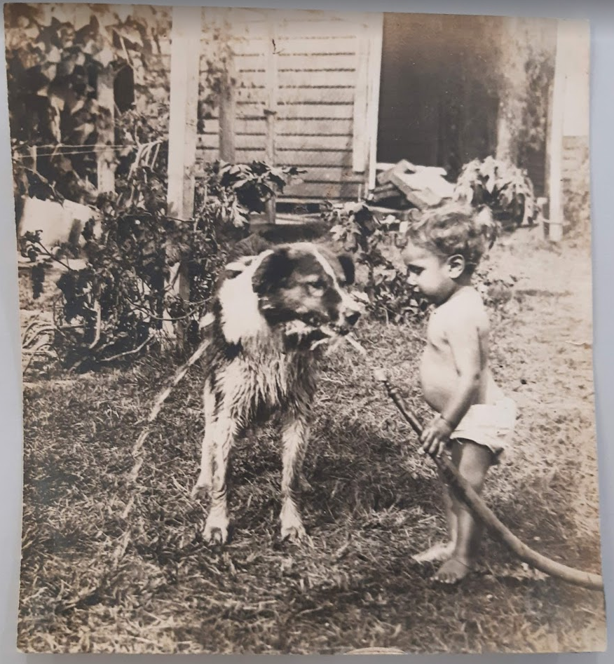 Norman and 'Kim' the dog, ca 1914. Acc. 6820 Ronald Monroe photographs. John Oxley Library, State Library of Queensland.