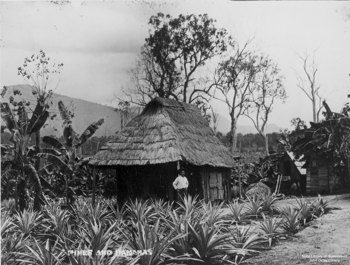 Image of Man in front of a grass hut in the Cairns District Queensland ca 1890