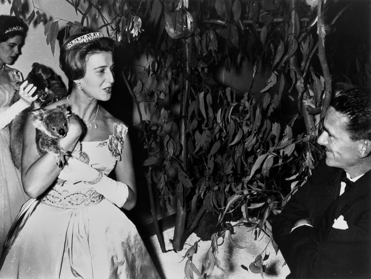 Princess Alexandra of Kent with a koala at Cloudland Ballroom, 1959.