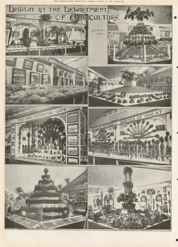 Page 22 of the Queenslander Pictorial supplement to The Queenslander 21 August 1915.