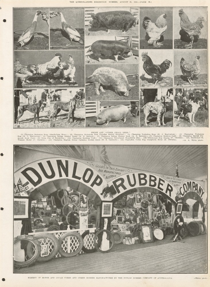 Page 33 of the Queenslander Pictorial supplement to The Queenslander 21 August 1915