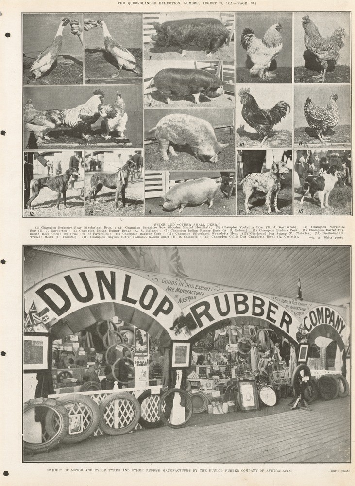 Page 33 of the Queenslander Pictorial supplement to The Queenslander 21 August 1915.