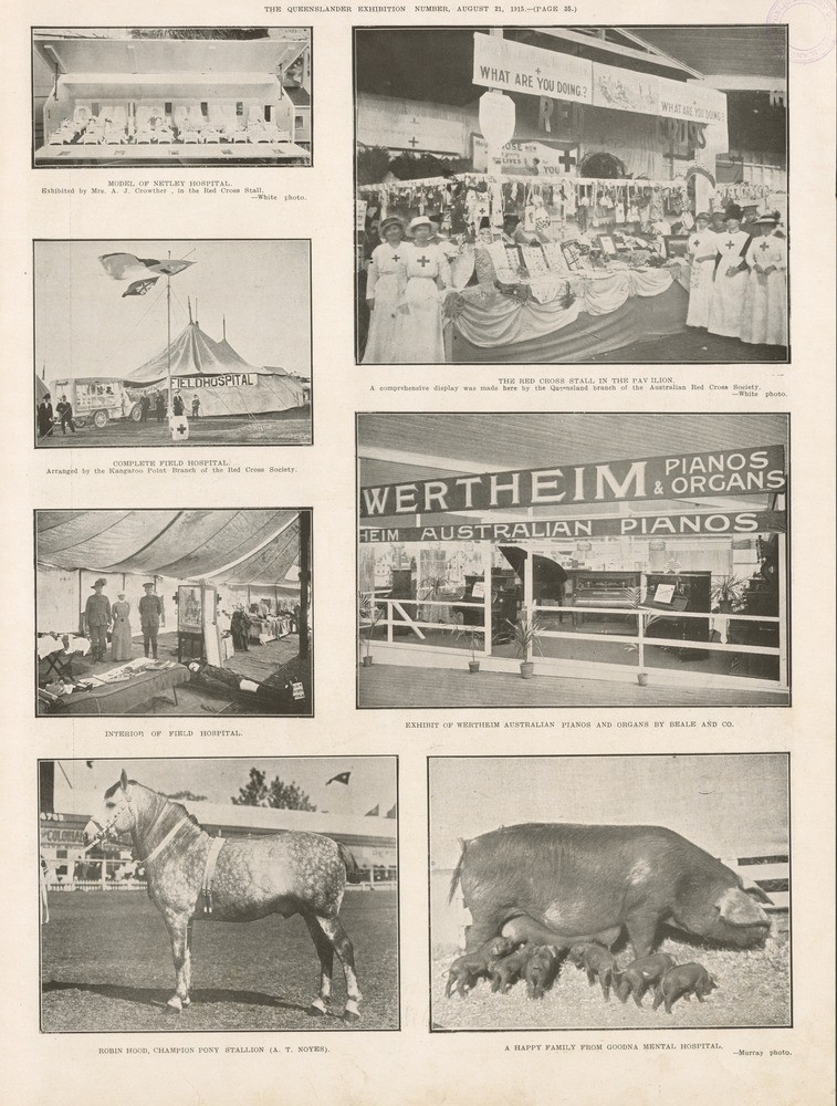 Page 35 of the Queenslander Pictorial supplement to The Queenslander 21 August 1915.