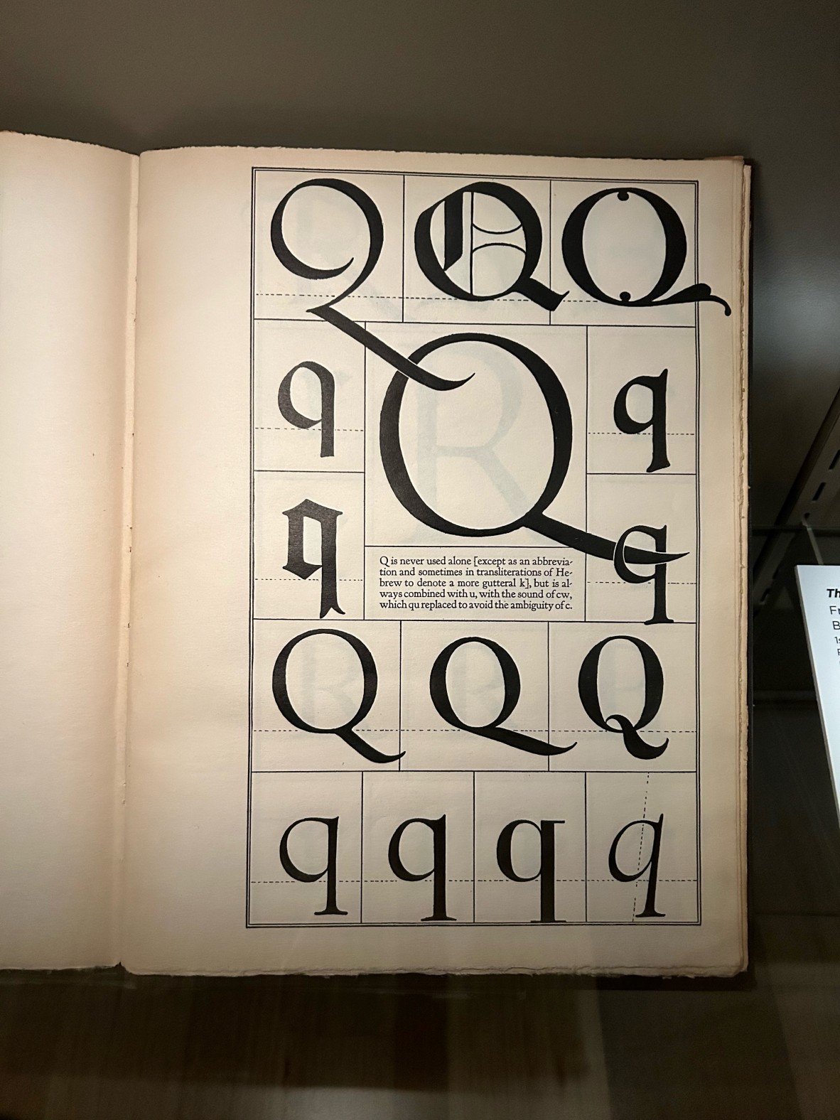 Page showing Qs and qs in different fonts, from a book in the A is for Ox display