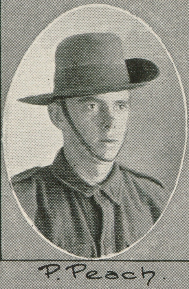 Percy Peach in The Queenslander Pictorial Supplement 1916
