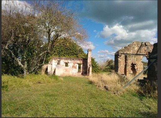Photo of ruins of stone cottages on St Helena Island