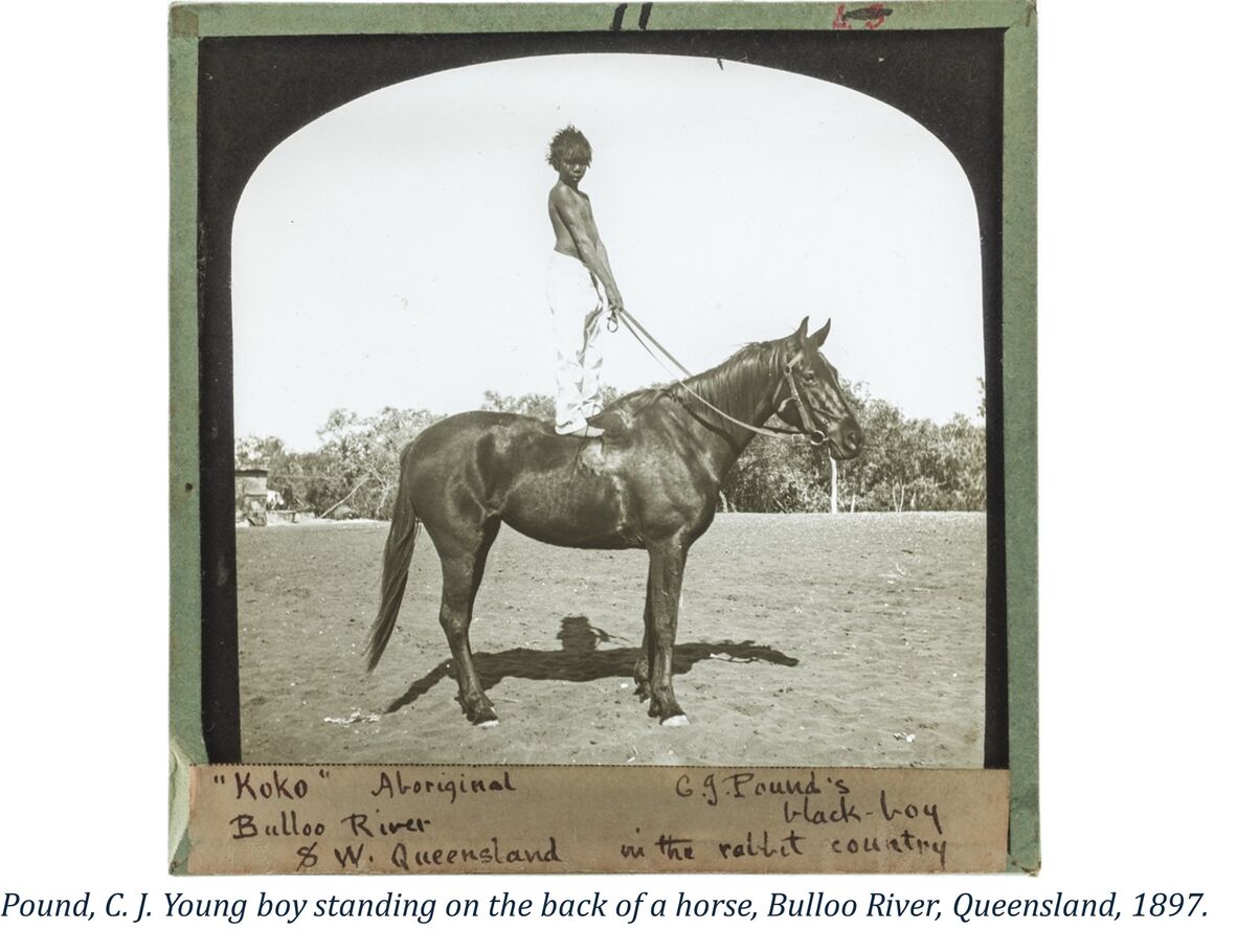 Pound, C. J. Young boy standing on the back of a horse, Bulloo River, Queensland, 1897.