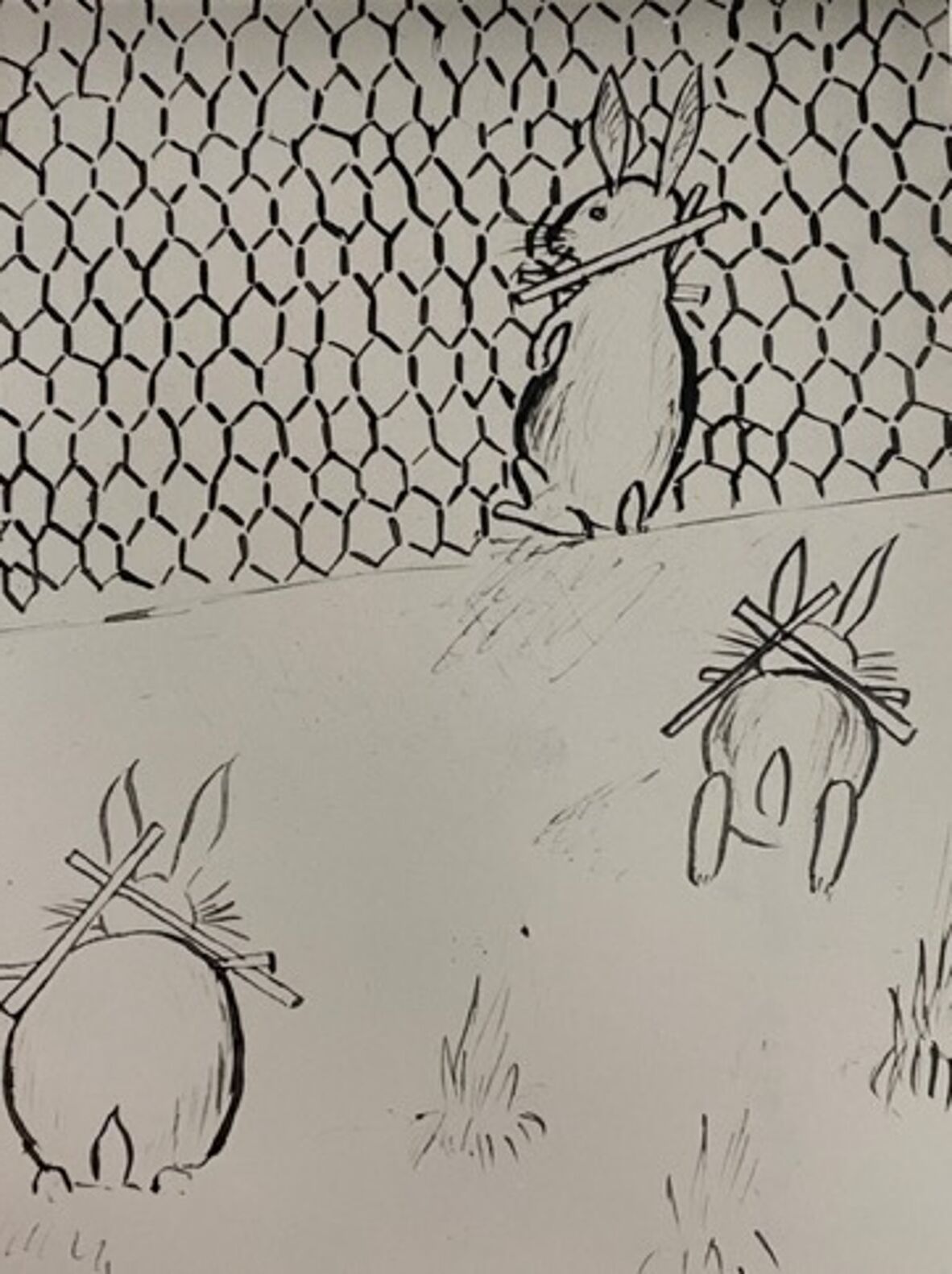 A suggestion for rabbits that get through netting fences by camp cook (H.C.).