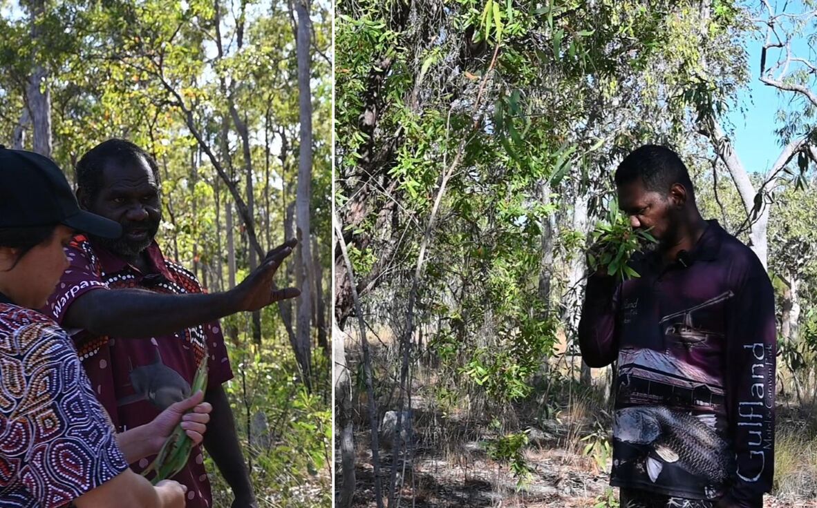Left: Richard Ornyengai identifying leaves that provide spiritual protection. Right: Lyal Kawangka identifying tea tree leaves and sharing their practical and culinary uses.