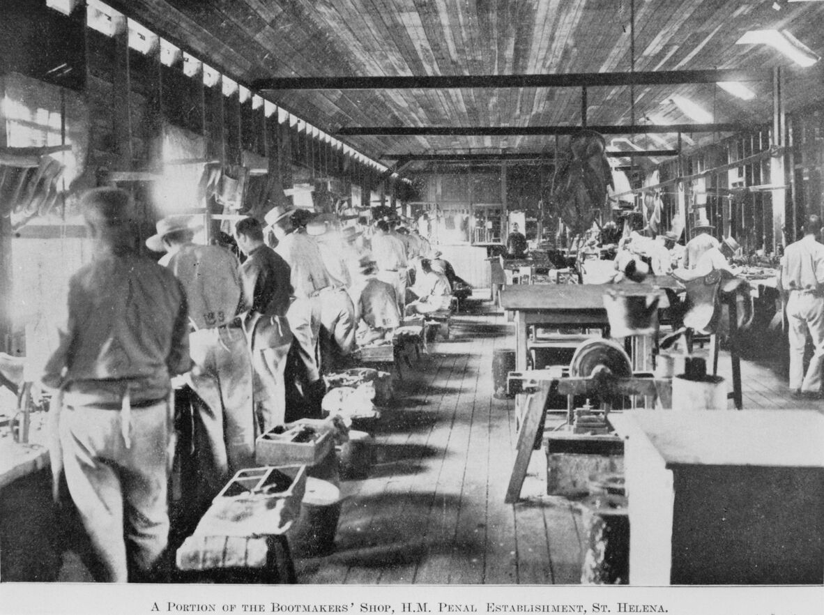 Black and white photo of many workers in a boot making factory on St Helena Island, 1911
