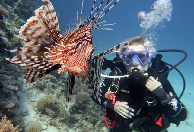 Picture of a scuba diver with a fish under water