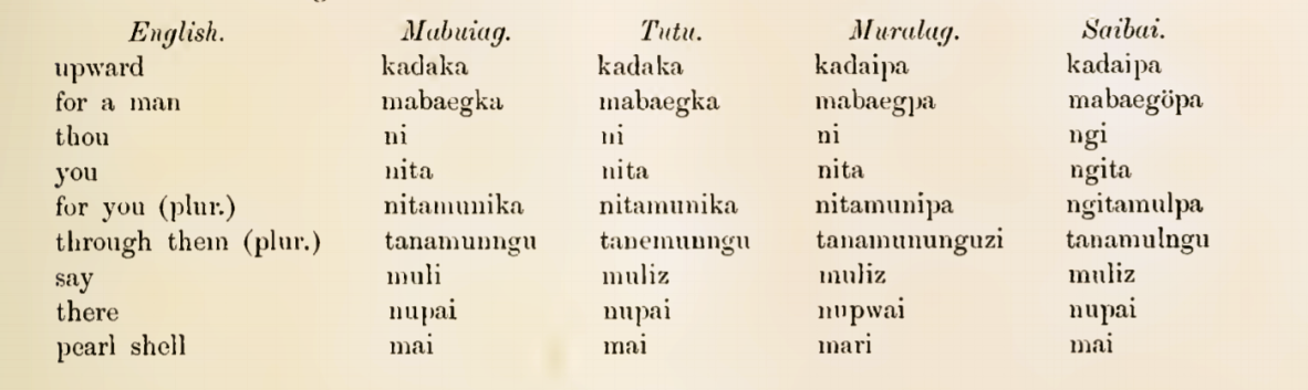Comparative wordlist from Torres Strait Cambridge Exhibition 1898