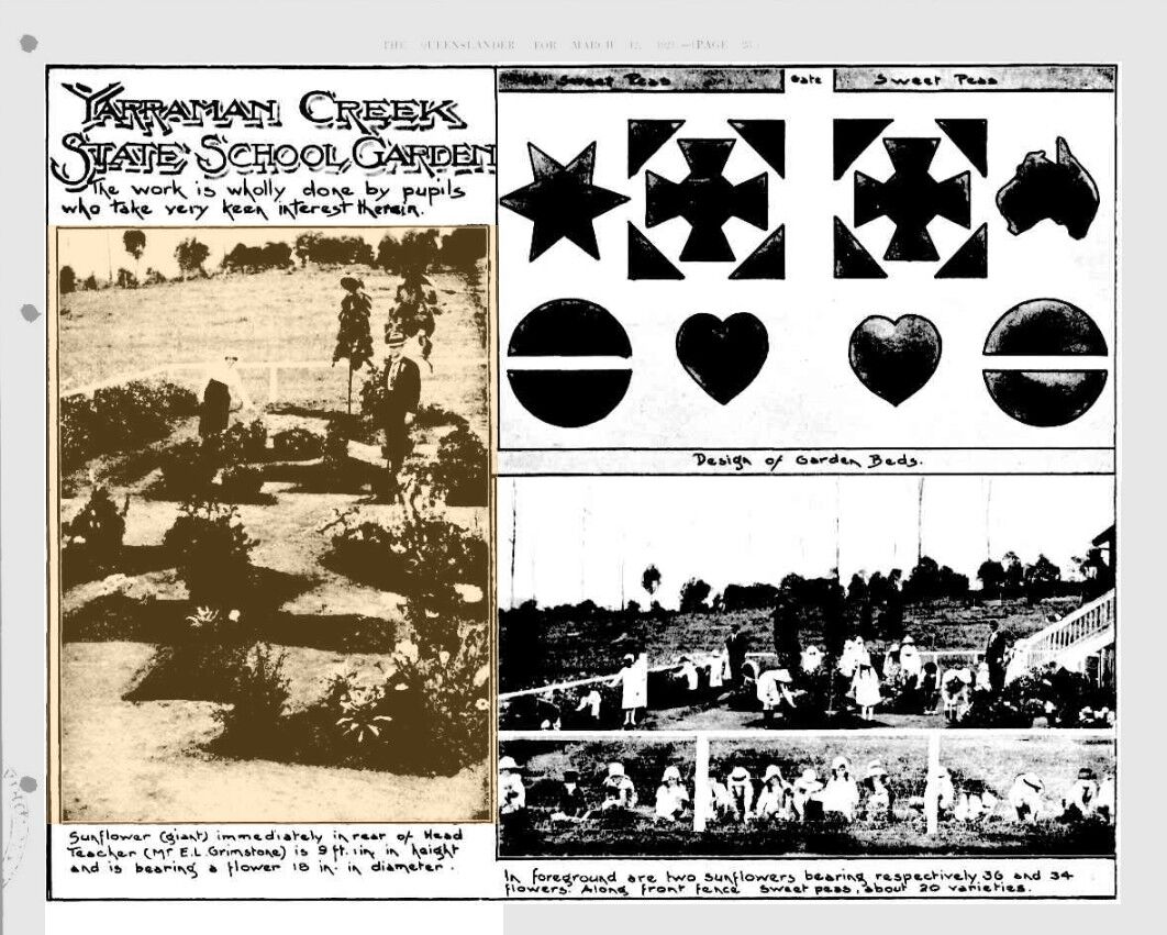 1921 'YARRAMAN CREEK STATE SCHOOL GARDEN', The Queenslander (Brisbane, Qld. : 1866 - 1939), 12 March, p. 23.
