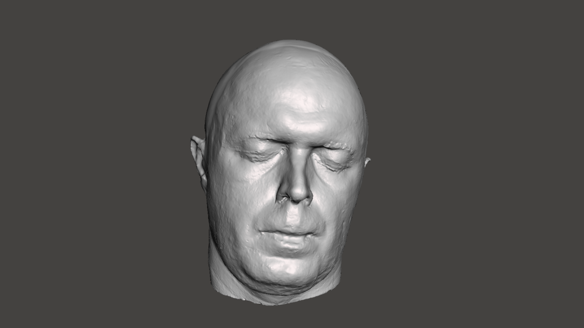 Screenshot of 3D scan of Actors Head