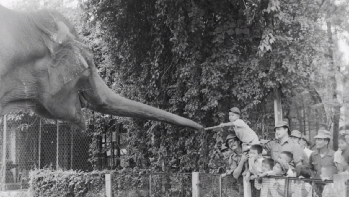 Australian Vietnam War servicemen taking local children to the Saigon Zoo