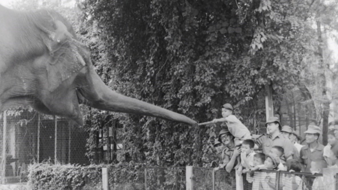 Australian Vietnam War servicemen taking local children to the Saigon Zoo.