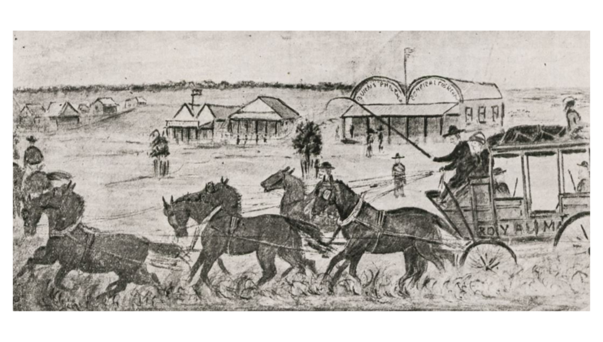 Sketch by Cecil Edward Search of Cobb and Co