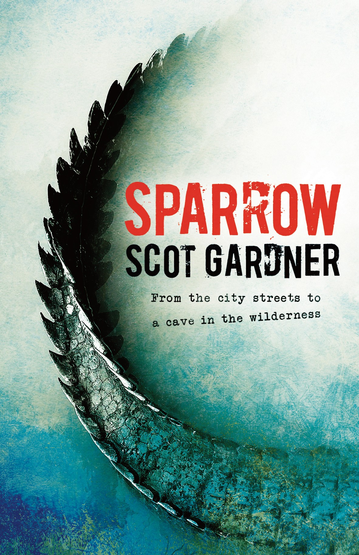 Sparrow by Scot Gardner book cover