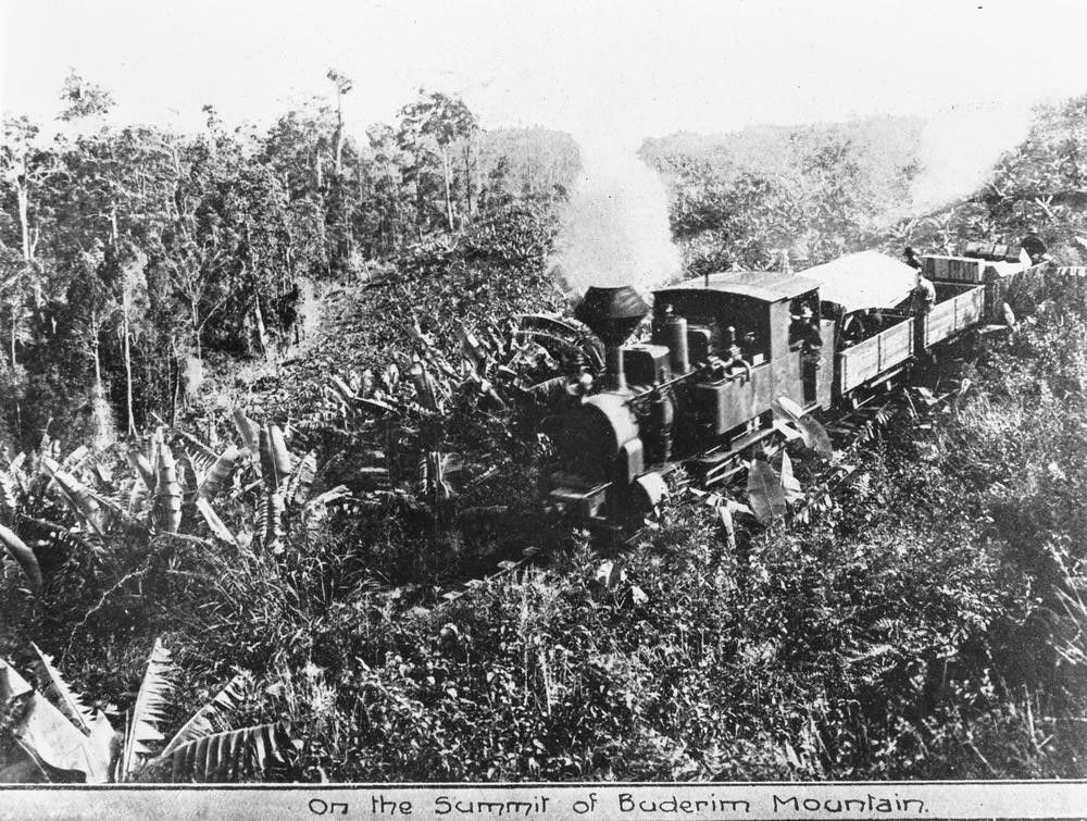 Black and white image of steam train on Buderim tramway on summit of Buderim Mountain, 1915.