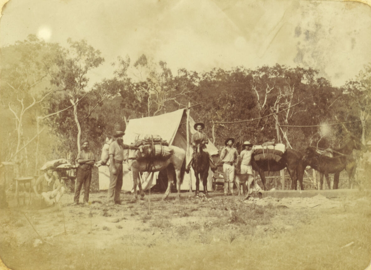 Survey staff and horses breaking camp at Mossman River in 1887