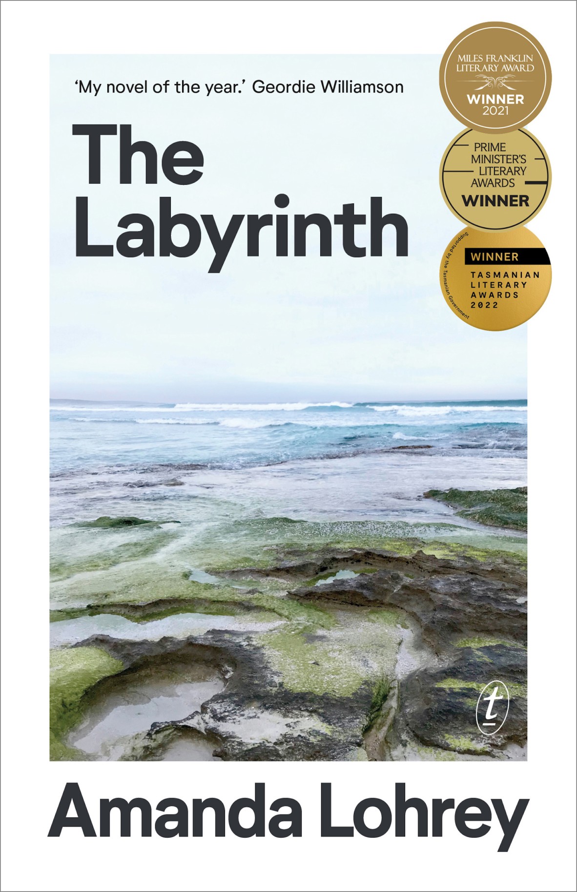 The Labyrinth by Amanda Lohrey book cover