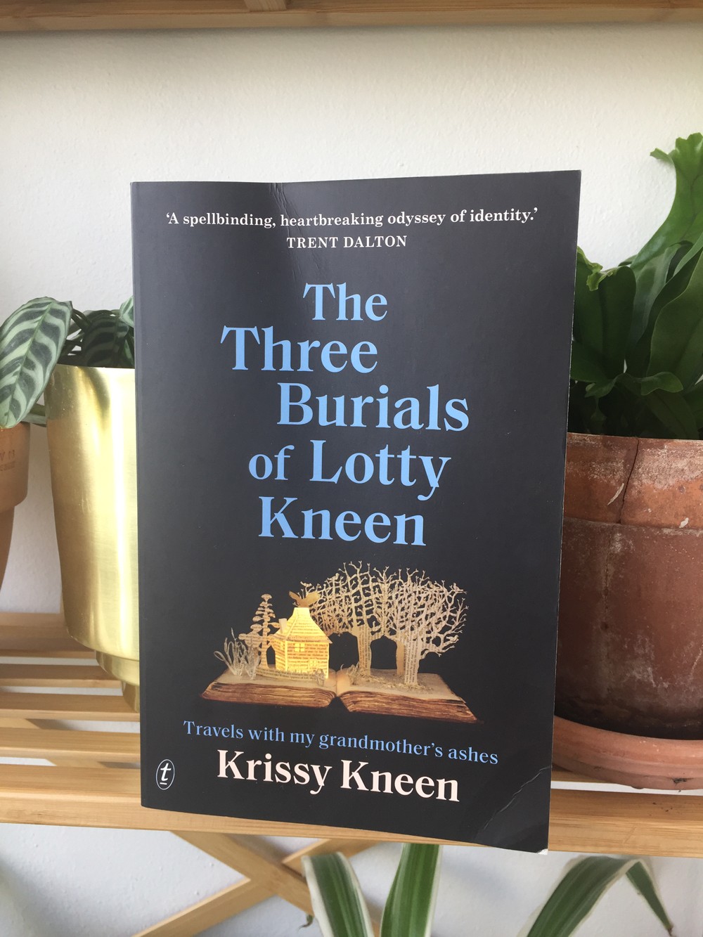 The Three Burials of Lotty Kneen by Krissy Kneen; the cover is black with blue writing. A paper house is cut from the pages of a book.