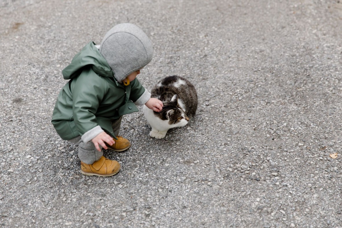 Toddler with pet cat