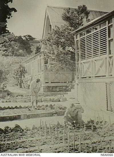 Townsville, Qld. Warrant Officer (WO) Hanna RAAF of Caulfield, Vic, with hoe, and WO A. K. Derrick of Newmarket, Qld, working in the vegetable garden at a RAAF Station at St Ann's Barracks.