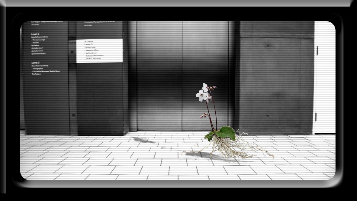 TransPLANT [seeking refuge], (animation still), donna davis, 2021, single channel digital stop-frame animation.