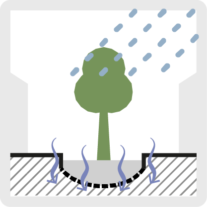 Tree pit diagram