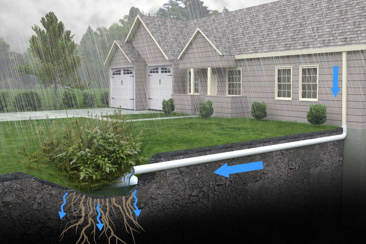 Tree pit showing waterflow from a house.