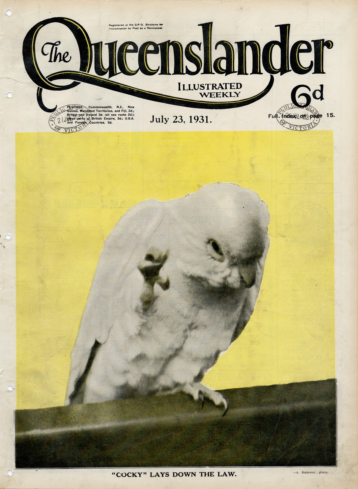 Illustrated front cover from The Queenslander July 23 1931