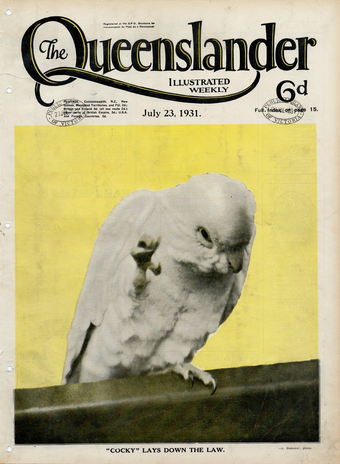 Illustrated front cover from The Queenslander, July 23, 1931