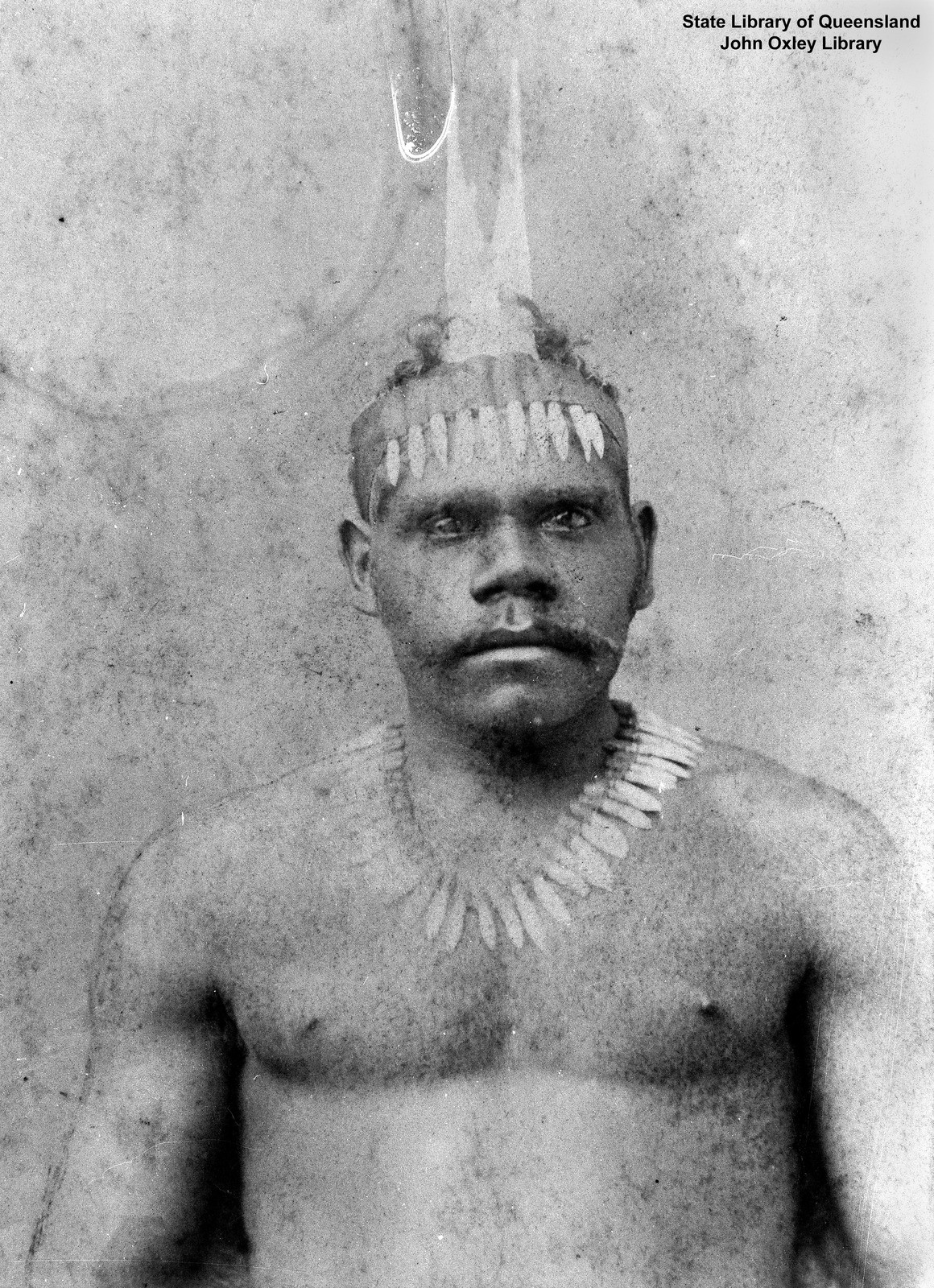 Wondunna wearing headdress decorated with kangaroo teeth, Fraser Island, ca. 1900