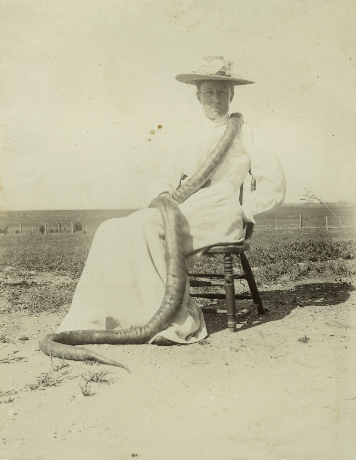 Woman in a white dress sitting for a portrait with a large dead tiger snake draped around her 