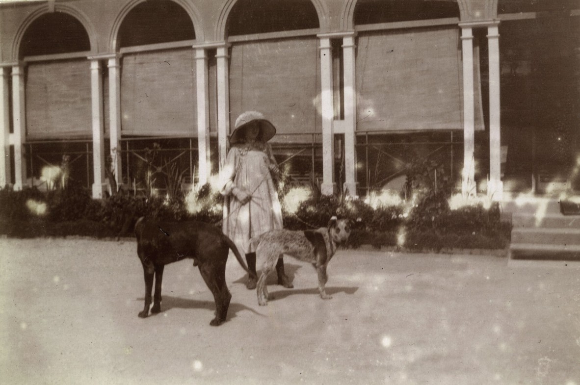 Joan Thesiper, daughter of Governor Chelmsford, pictured with her dogs in the grounds of Government House, Brisbane, 1907