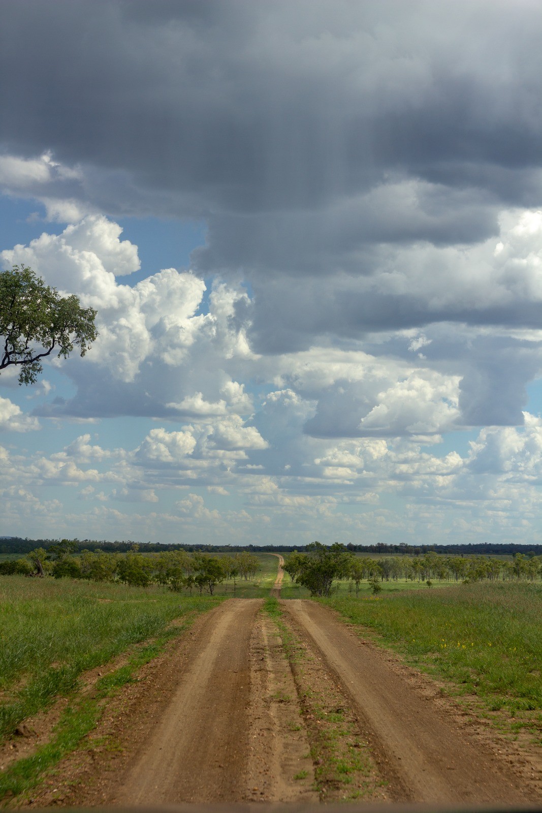 View of dirt road through green pastures and trees, clouds in the sky.