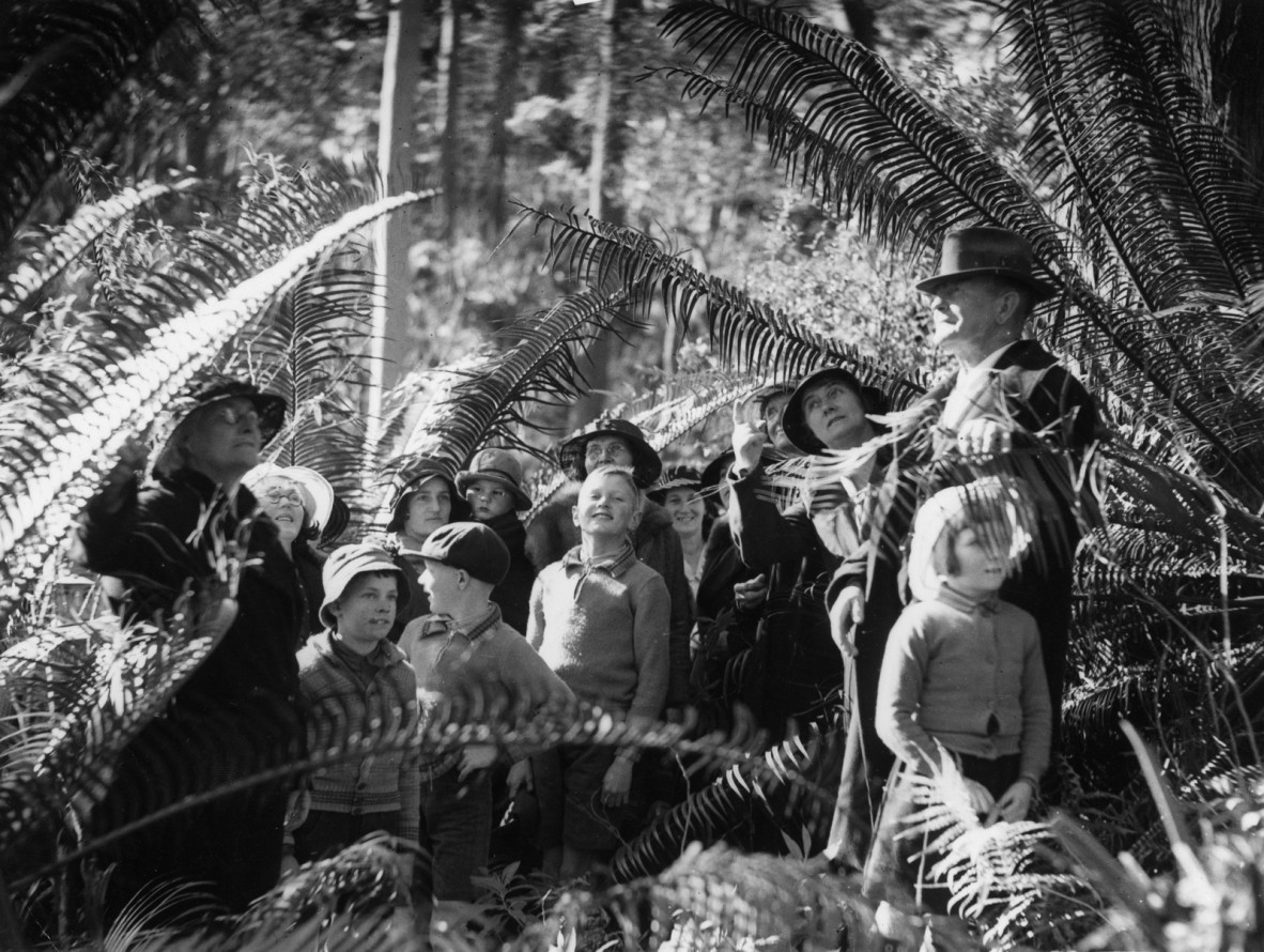 School excursion on Mount Tamborine, 1935