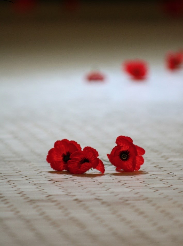 Three poppies