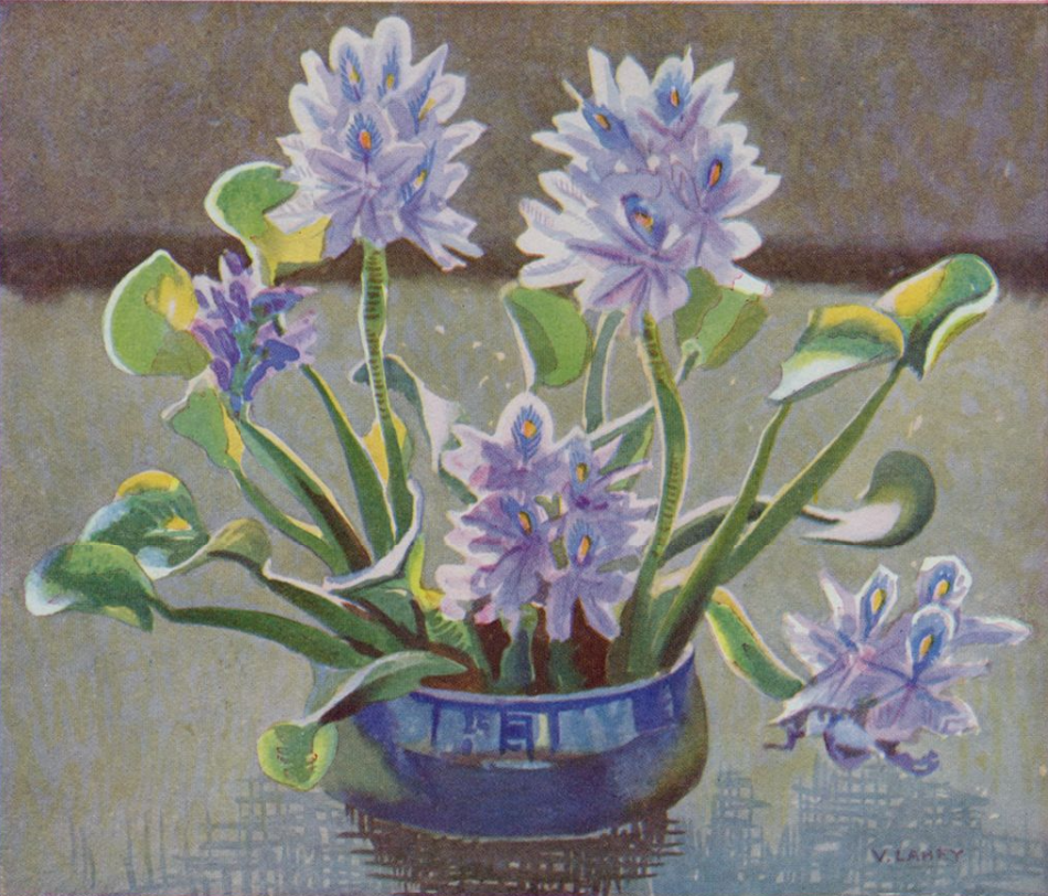 An oil painting of purple water hyacinth flowers in a glossy blue bowl, rendered with soft textures and muted lighting. Multiple tall stalks of blooming lavender-blue flowers with yellow-spotted upper petals rise from the dark bowl, surrounded by thick, fleshy green leaves with distinctive bulbous stems. One flower cluster droops to the lower right. The bowl sits on a reflective surface against a plain, neutral-toned background, with the artist's signature "V. LAHEY" in the lower right corner.