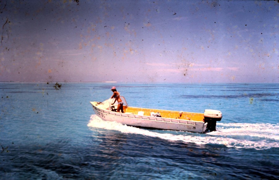 Alison Ricket, One Tree Island, early 1970s.