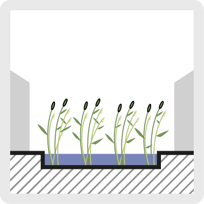 Wetlands diagram