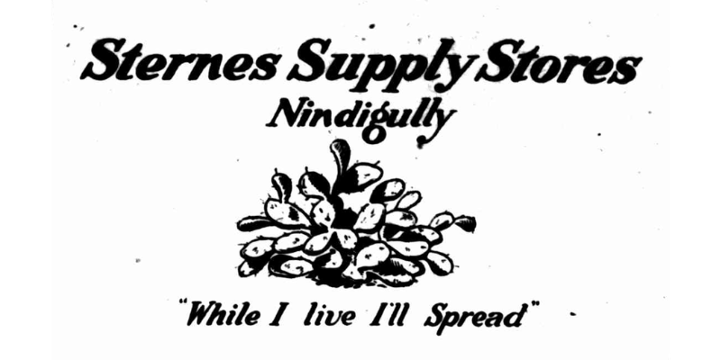 A 1922 newspaper advertisement for Sternes Supply Stores, Nindigully, featuring an illustration of Prickly Pear and the tag line "While I live I'll Spread"