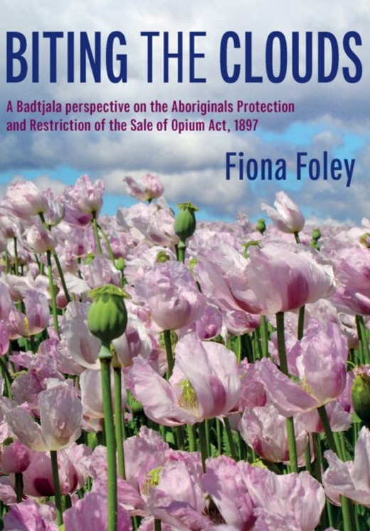 Biting the Clouds by Fiona Foley University of Queensland Press
