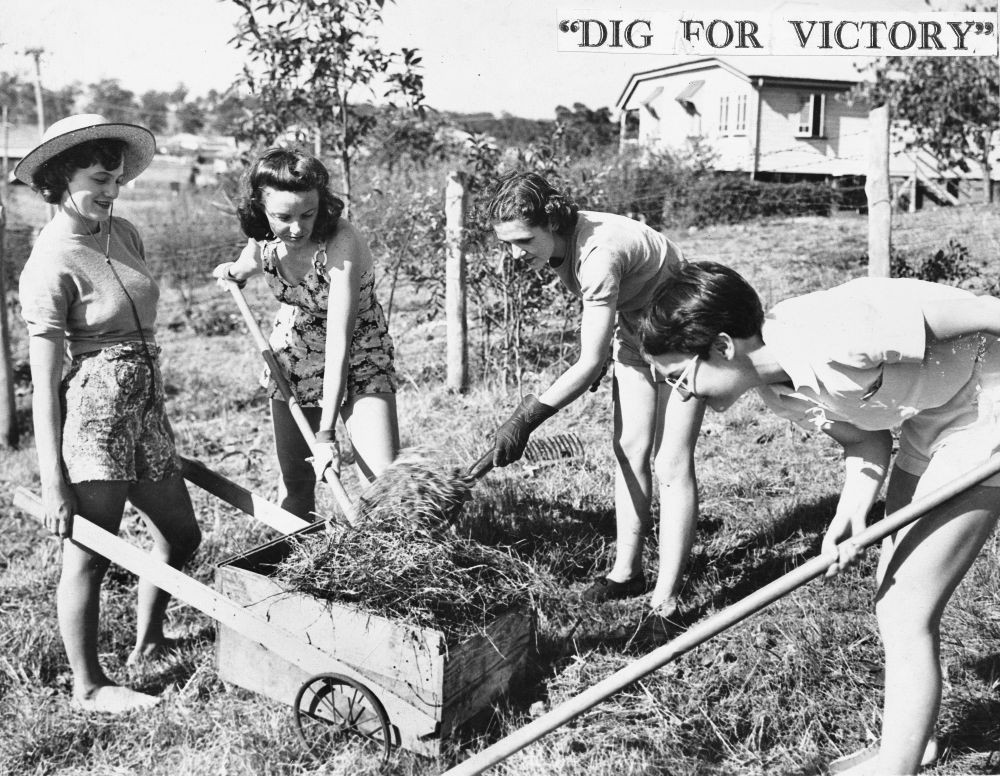 A group of women Digging for Victory 1941
