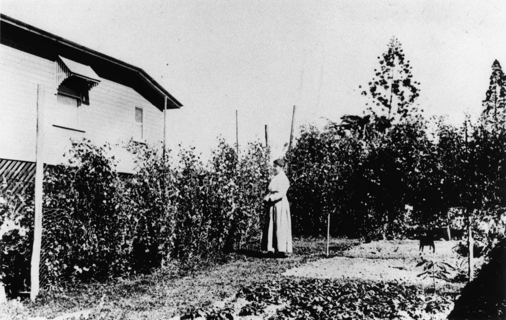 Bessie Adams in a vegetable garden, pre 1900