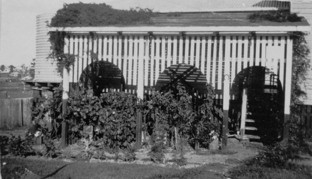 Backyard vegetable garden in Wilston, Brisbane