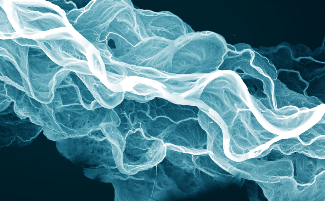 Lidar-derived relative elevation model of the Sauk River near Darrington, Washington, showing current and former channels.